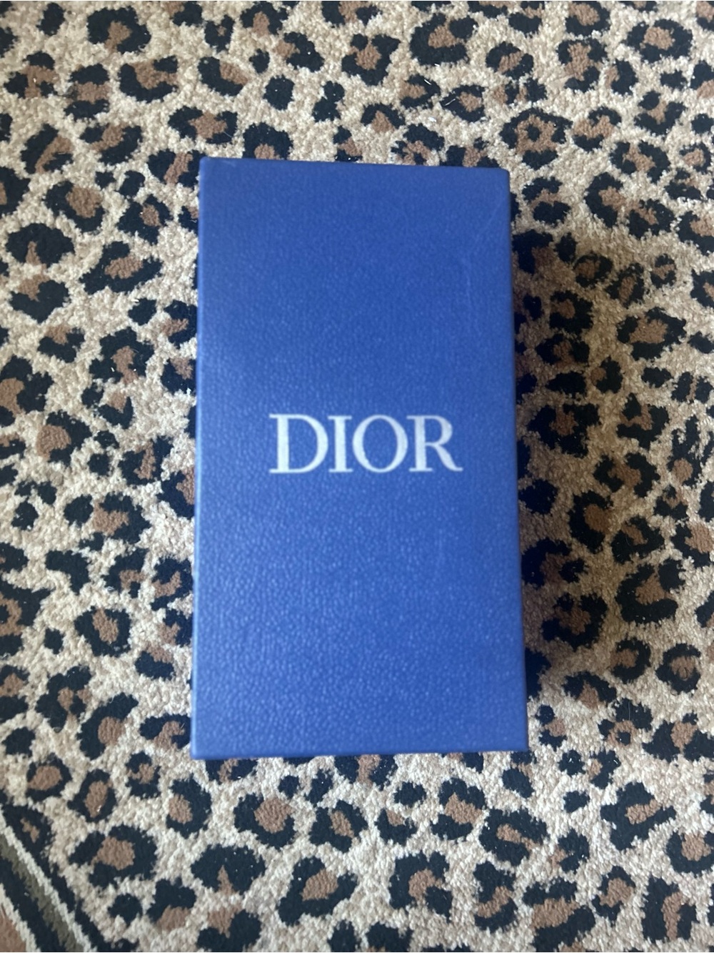 Dior slides